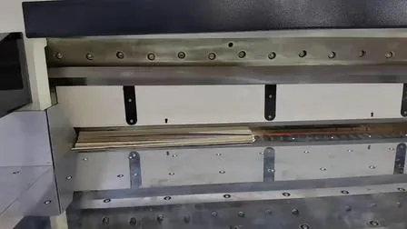 Program Control Guillotine Hydraulic Heavy Duty Paper Cutter 137f