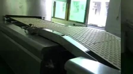 Skywin Factory Soft Biscuit Making Machine Cookie Rotary Moulder Machine